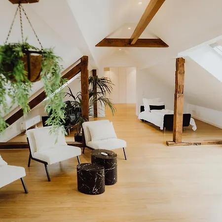 Staylight Penthouse In Der Suedstadt - Luxus Apartment *